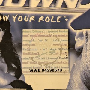 Rectangle, Hologram, WWF Official 2002